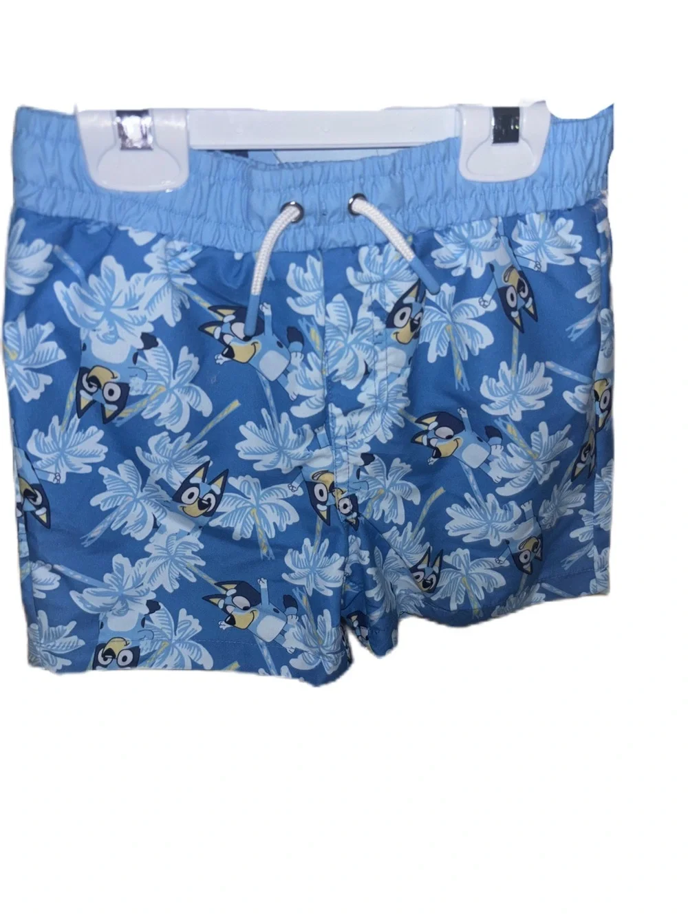 Bluey Boys Kids Rash Guard Set 2 pc Long sleeve Shirt & Swim Trunks Bathing Suit